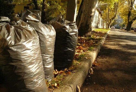 Őszi lomtalanítás és zöldhulladék elszállítás 2016