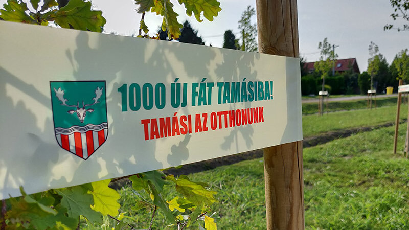 Folytatódik az 1000 új fát Tamásiba program