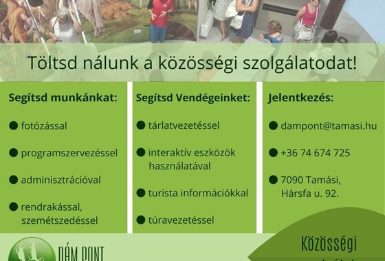 Közösségi szolgálat - Dámpont