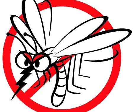 Lakossági tájékoztató szúnyogok elleni védekezésről