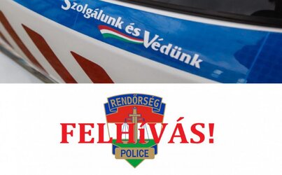 Pályázat